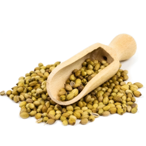 Coriander Seeds – Malli