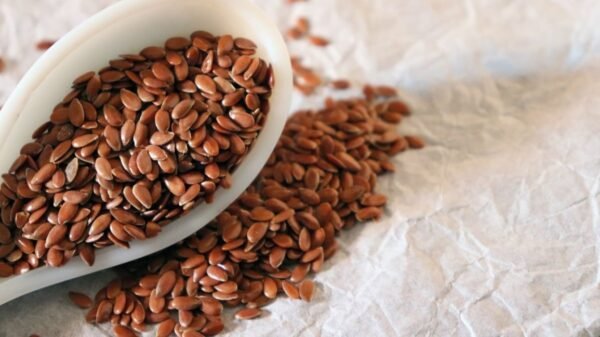 Flax Seeds – Azhli Vidai