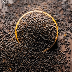 Mustard – Kadugu