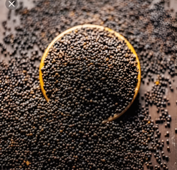 Mustard – Kadugu