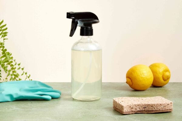 Natural Toilet Cleaner